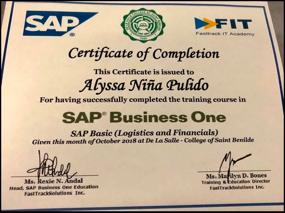 SAP Business One (Logistics and Financials)