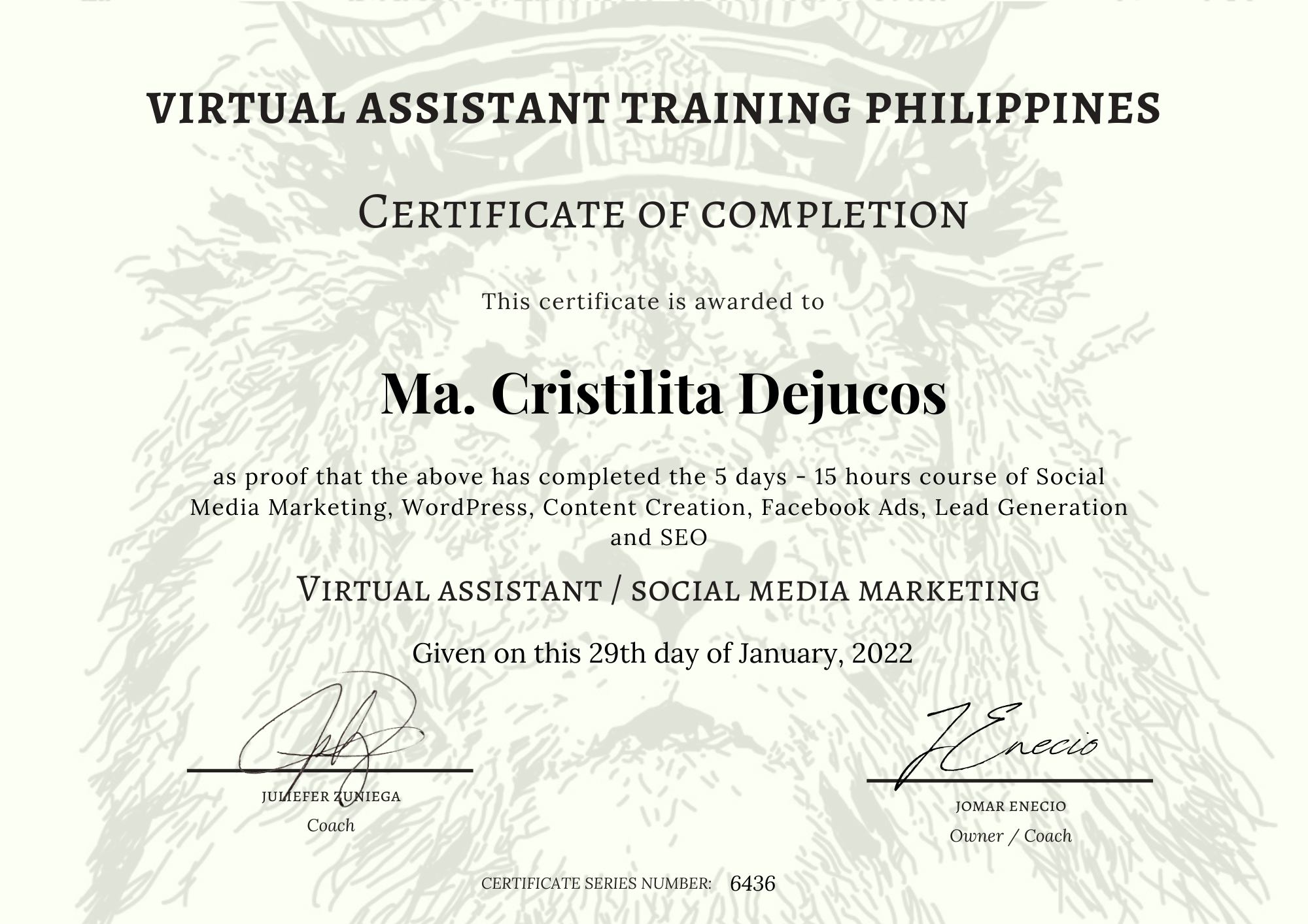 Virtual Assistant and SMM