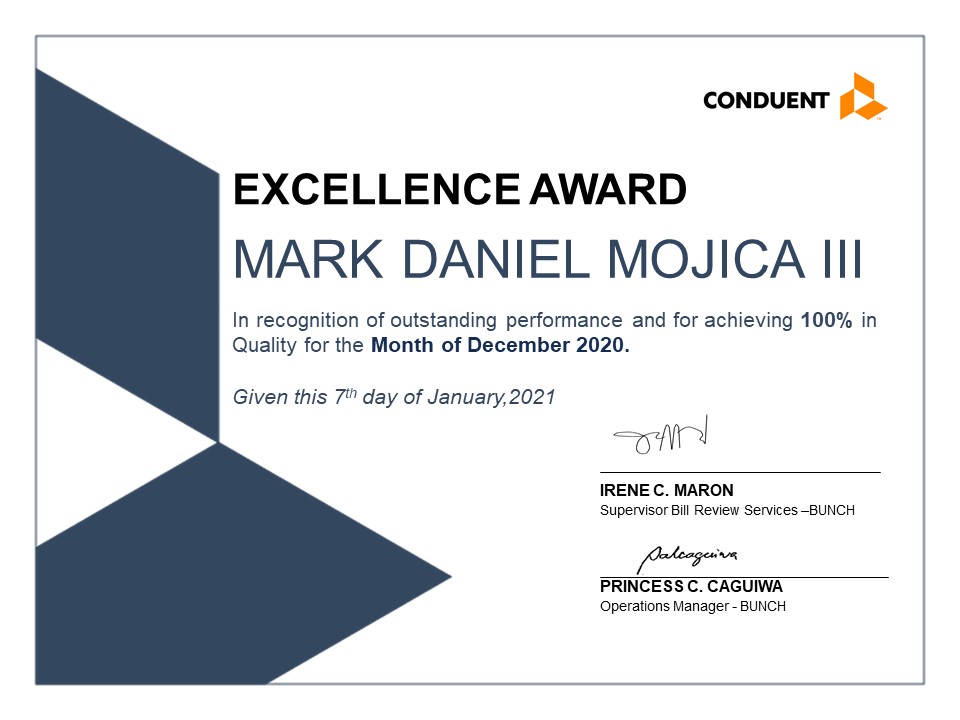 Excellence Award