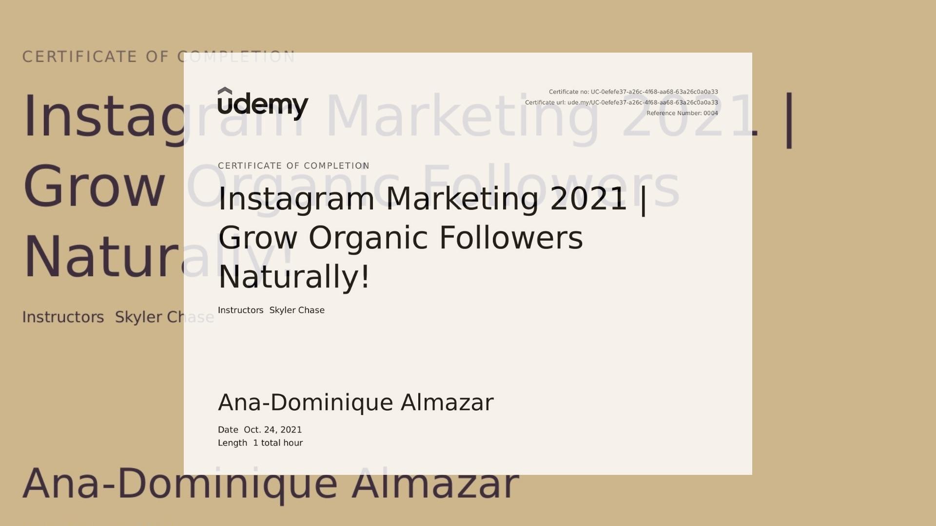 Instagram Marketing