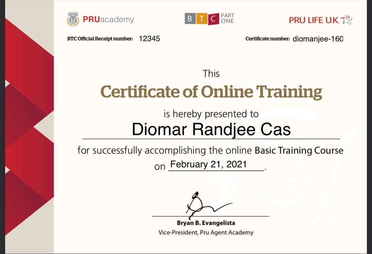 Online Financial Agent Training