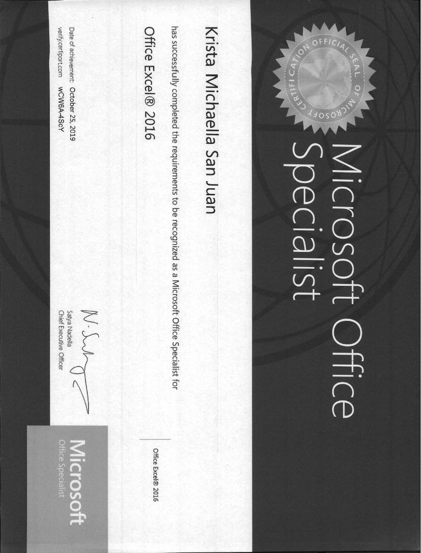 Microsoft Office Excel Specialist