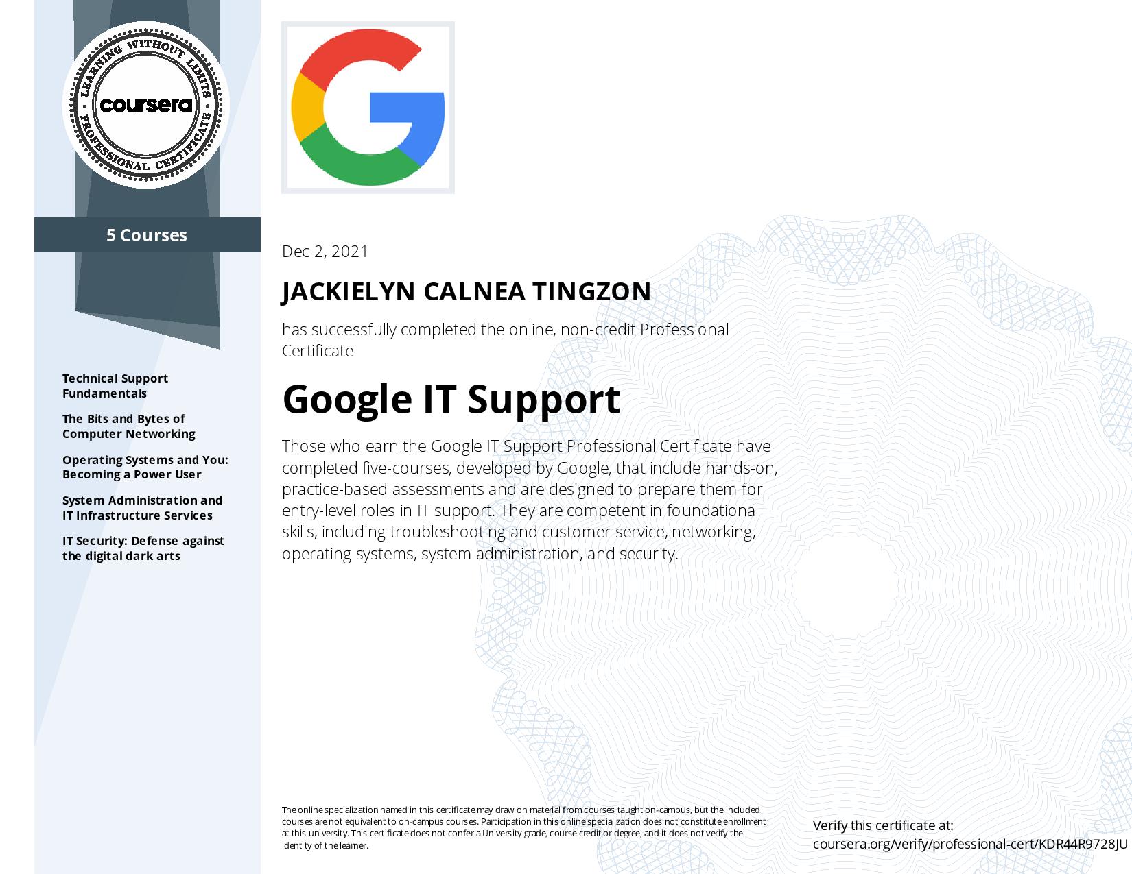 Google IT Support