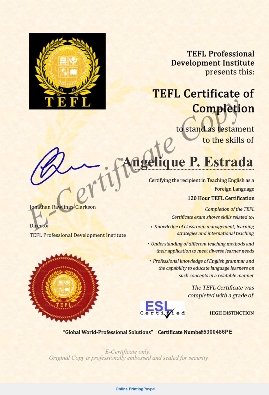 TEFL Certificate