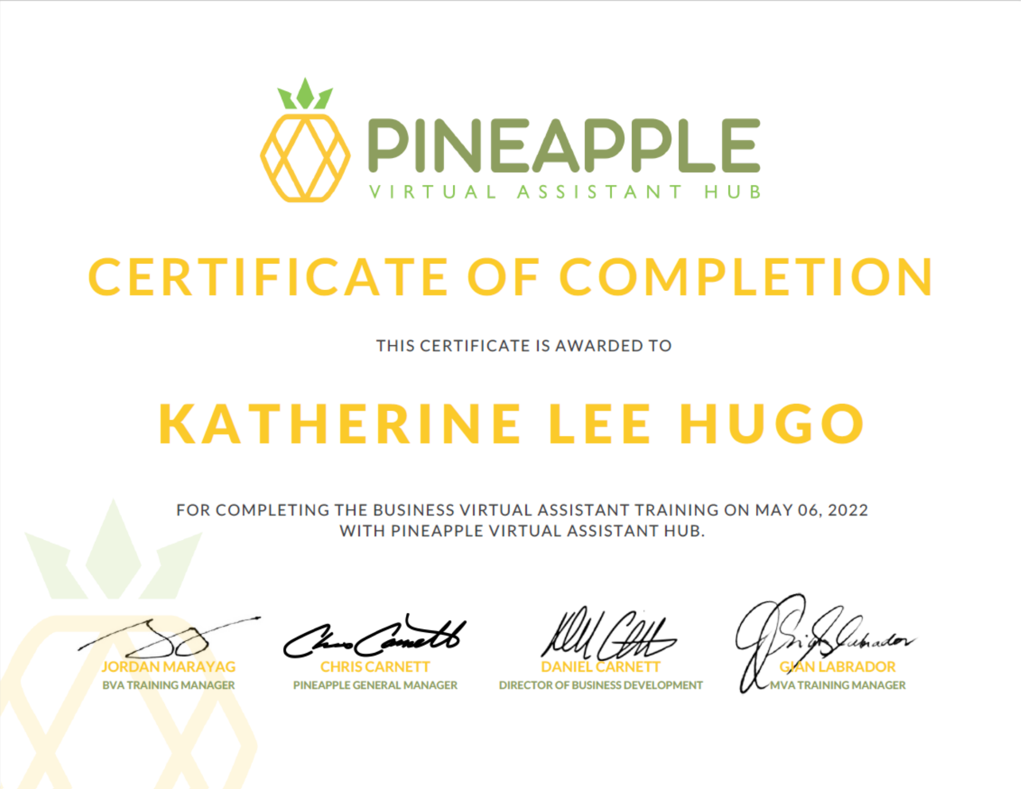 Pineapple Virtual Assistant Hub BVA Training