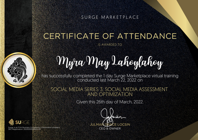 Social Media Assessment and Optimization Training