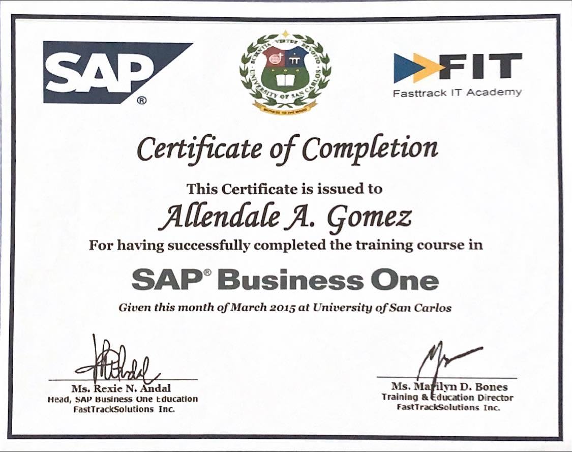 SAP BUSINESS ONE