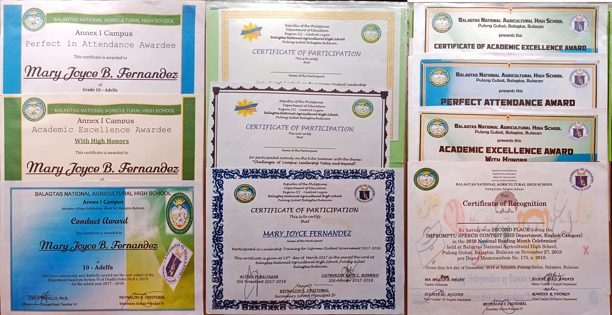 Academic Excellence Award * Conduct Award * Leadership Award * 2nd Placer - English Impromptu Speech * Perfect Attendance Award