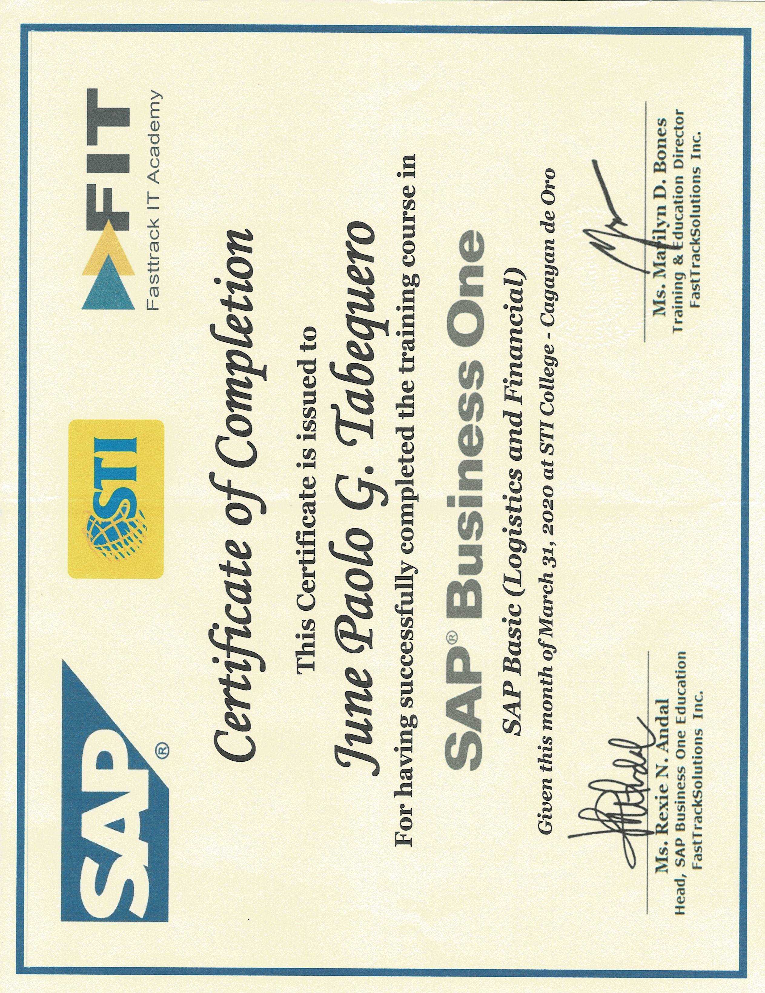 SAP Basic (Logistics and Financial)