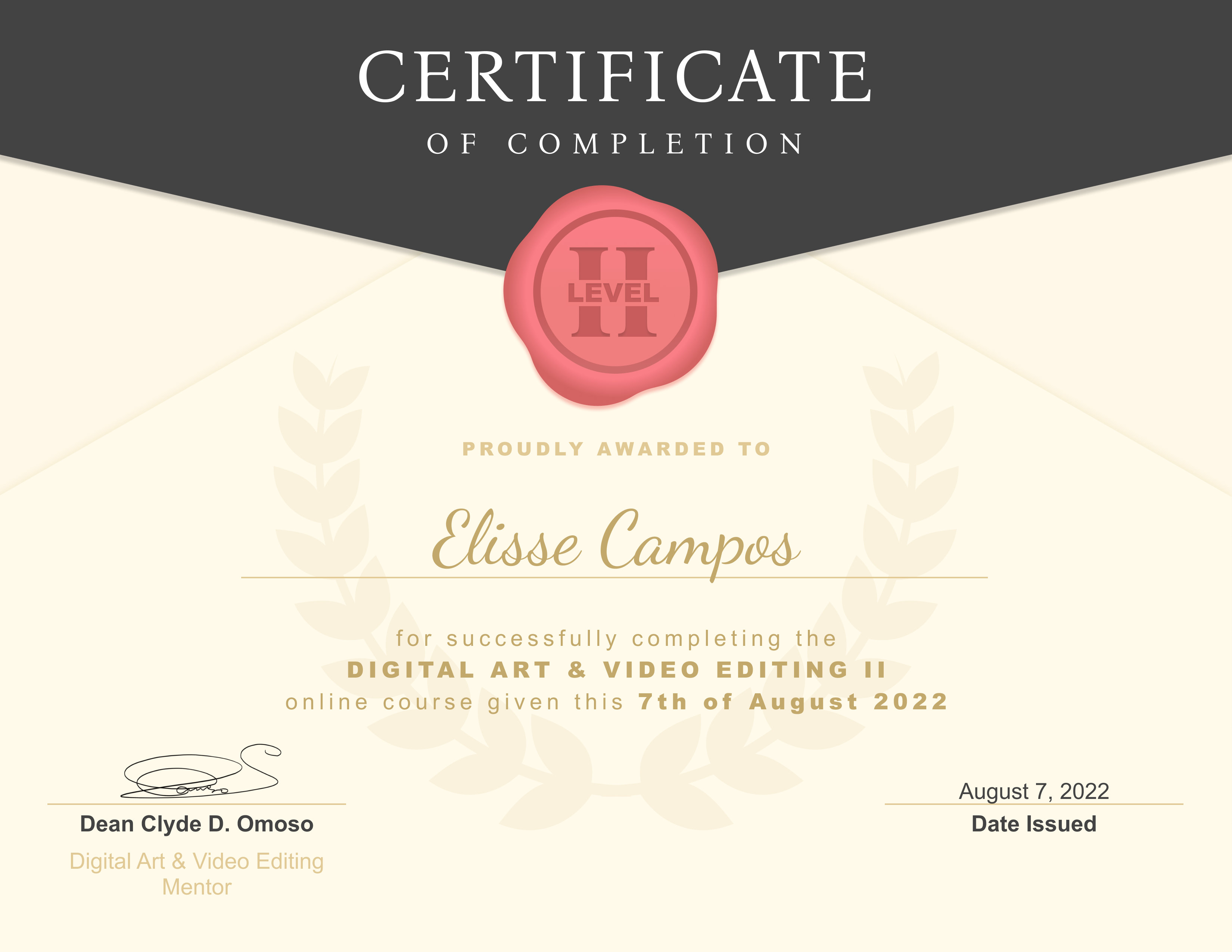 Graphic Design & Video Editing II