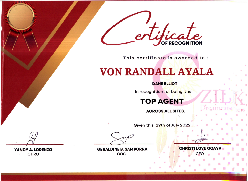 Top Sales Company-Wide