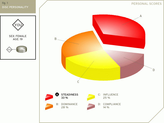 DISC Figure