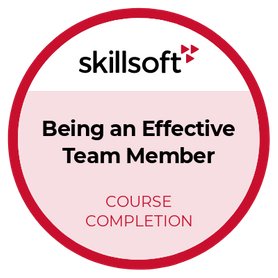 Being an Effective Team Member