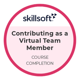 Contributing as a Virtual Team Member