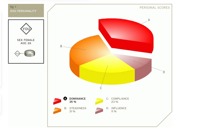 DISC Result