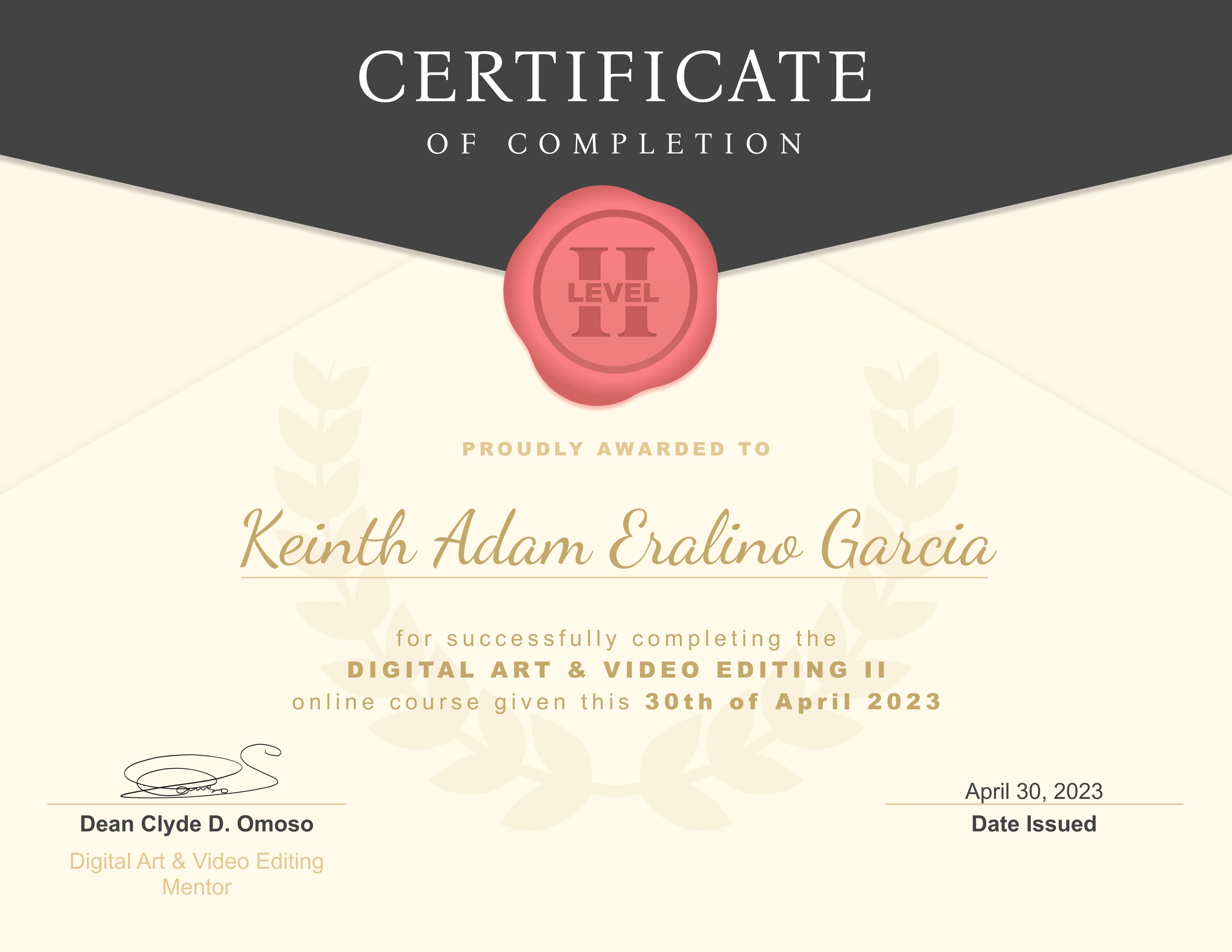 Digital Art and Video Editing Certificate II