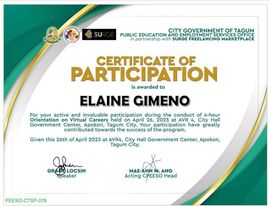 Certification of Participation (Orientation on Virtual Careers))