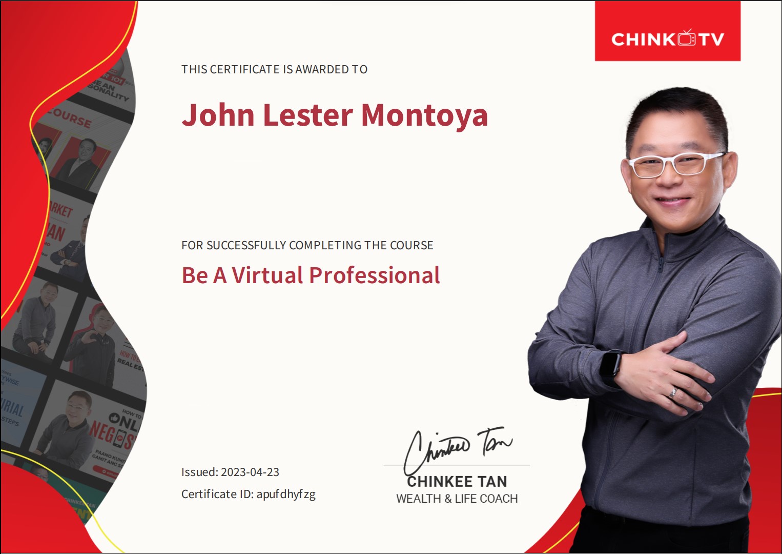 Virtual Professional