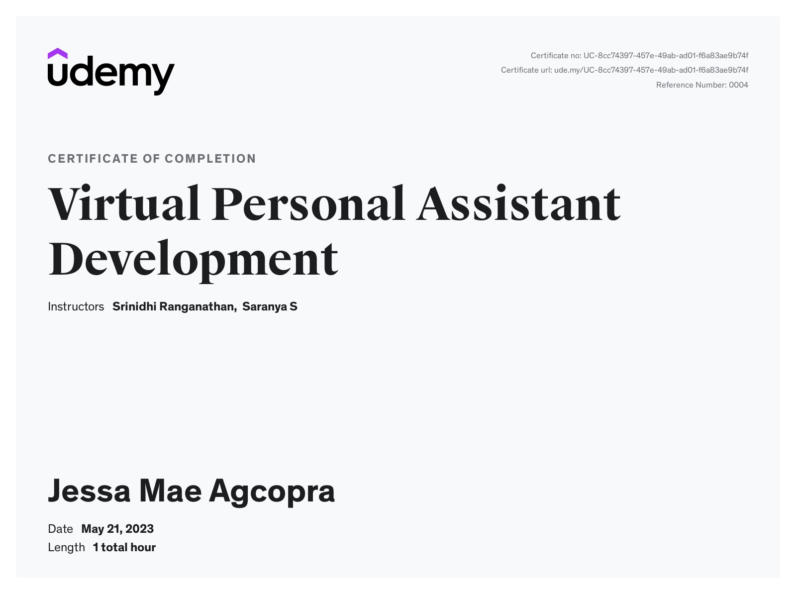 Virtual Personal Assistant Development