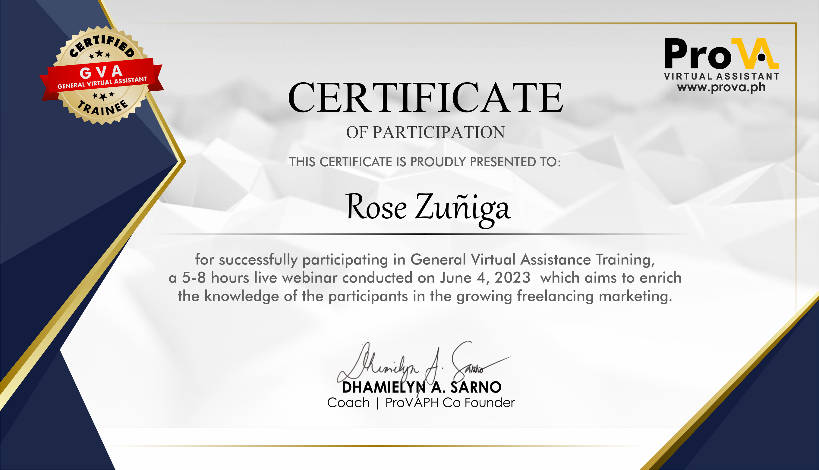 Virtual Training Certificate