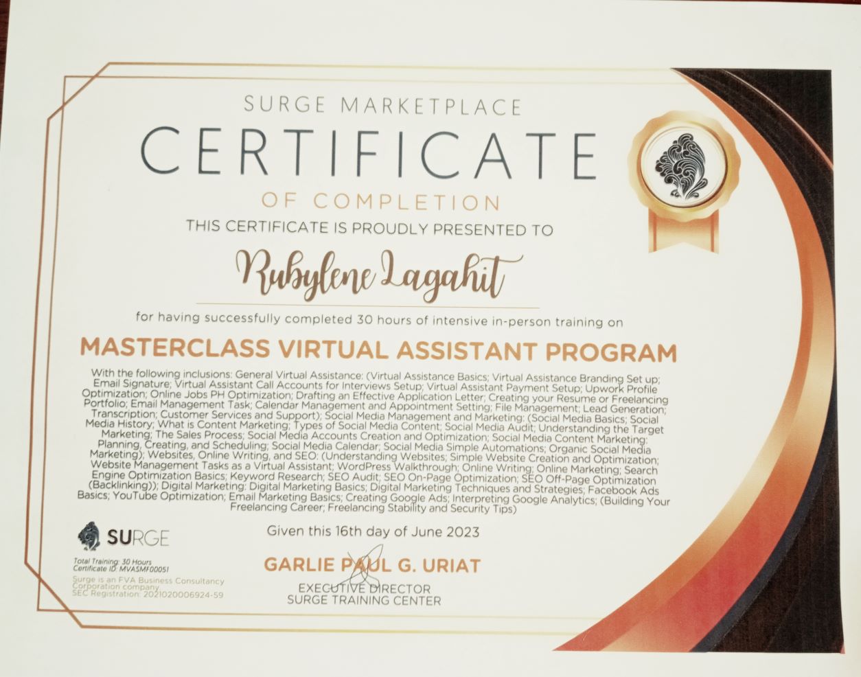 Masterclass Virtual Assistant Program