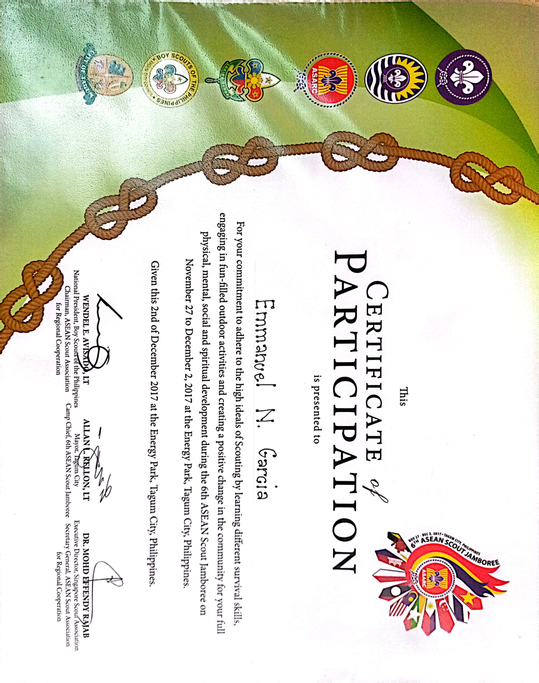 BOY SCOUTS OF THE PHILIPPINES (MEMBER, COUNCIL YOUTH PROGRAM TEAM)