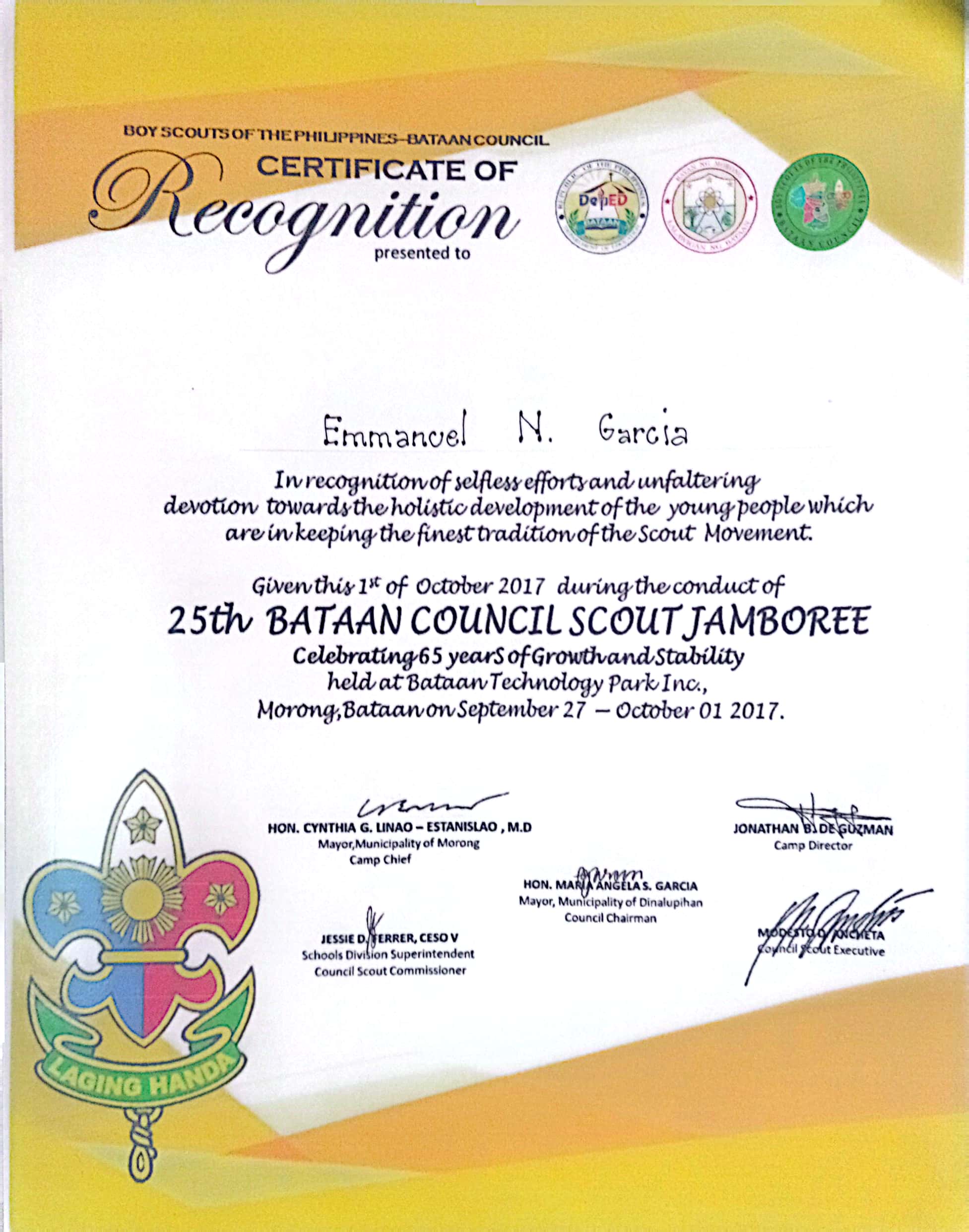 BOY SCOUTS OF THE PHILIPPINES (MEMBER, COUNCIL YOUTH PROGRAM TEAM)