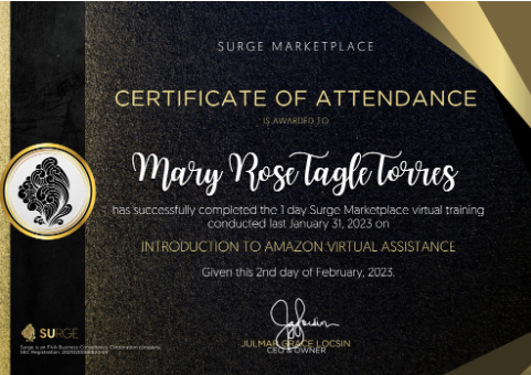 Amazon Virtual Assistance
