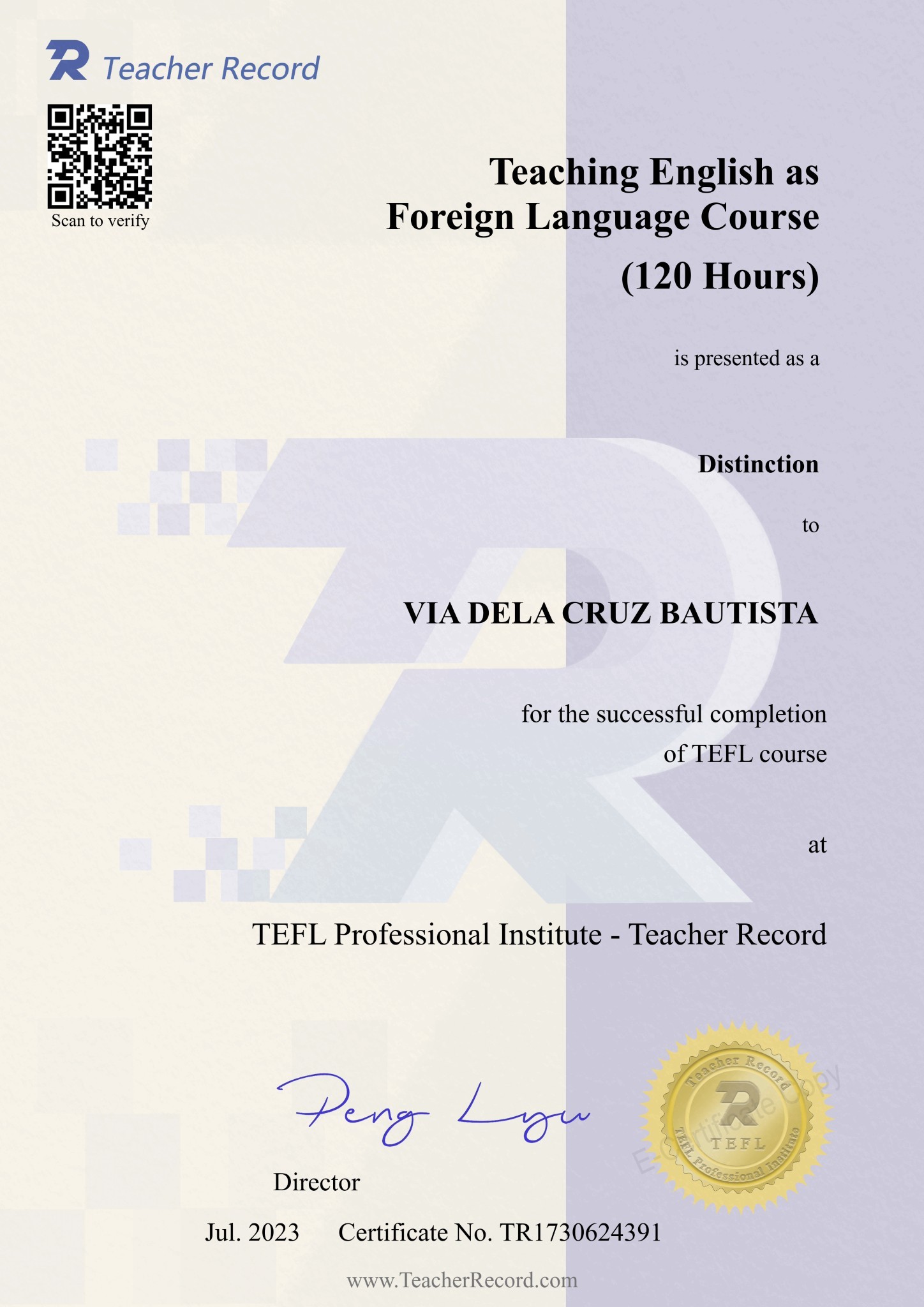 Teacher Record - Teaching English as  Foreign Language Course (TEFL)