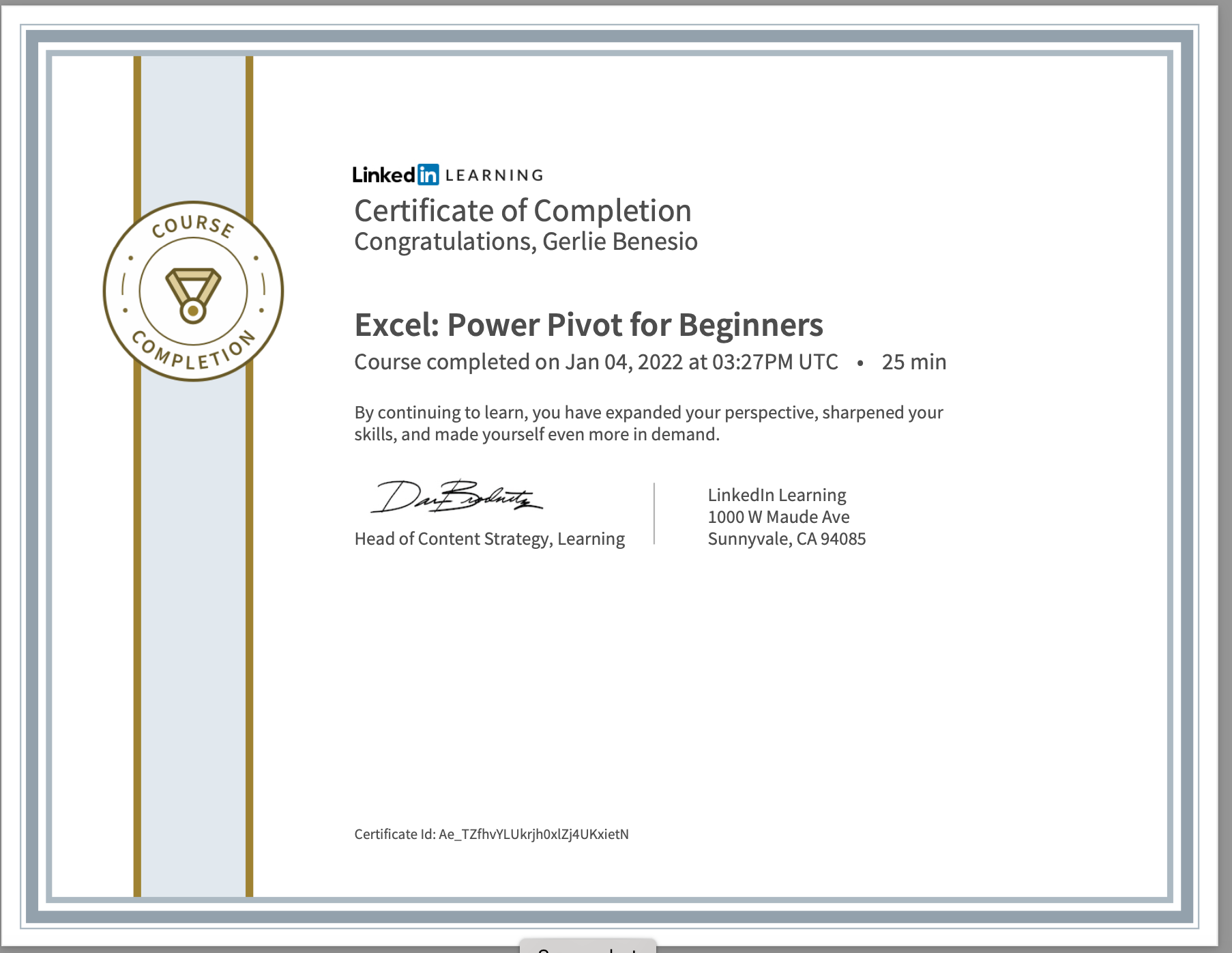EXCEL: Power Pivot for Beginners