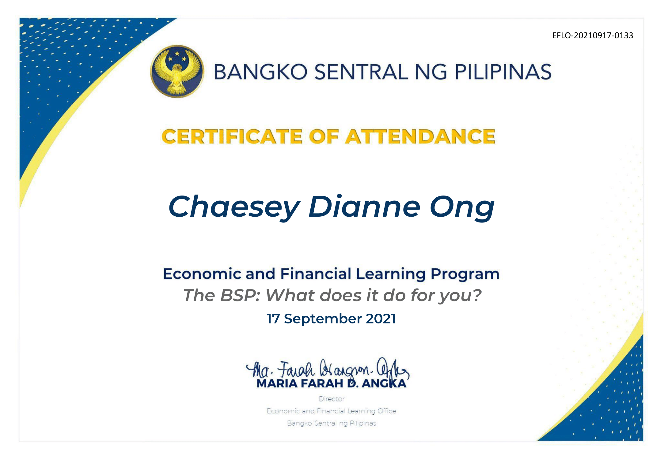 The BSP: What does it do for you?
