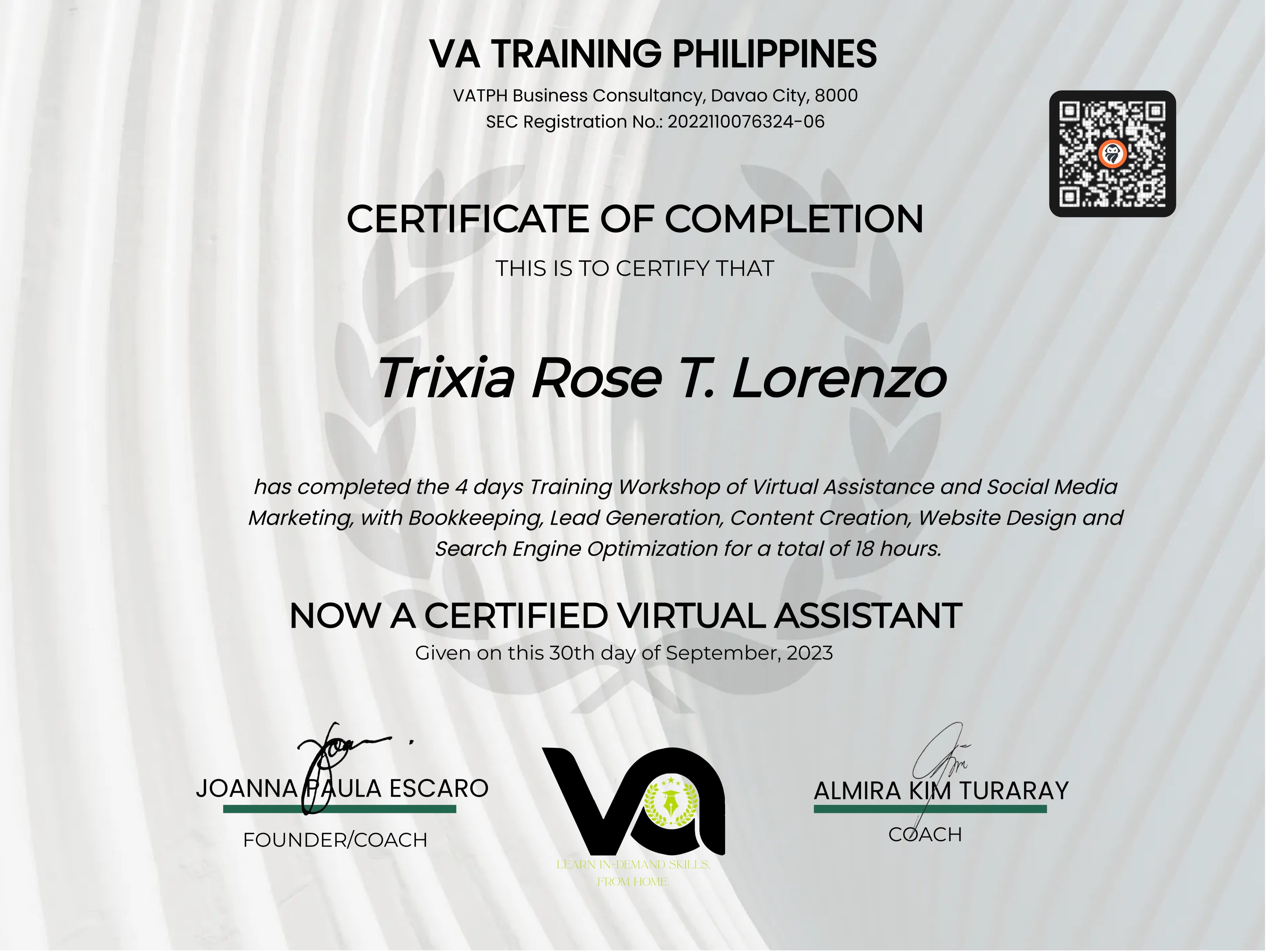 Virtual Assistance and Social Media Training