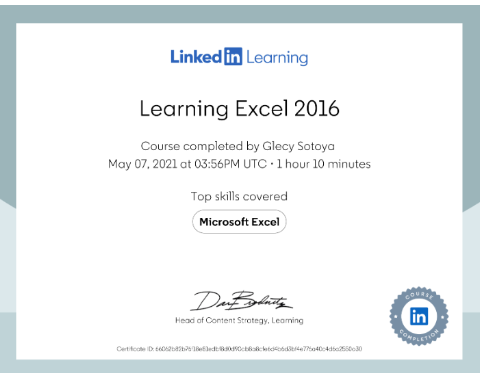 LEARNING MICROSOFT EXCEL CERTIFICATE