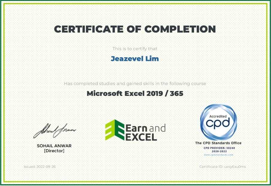 Microsoft Excel 2019 / 365