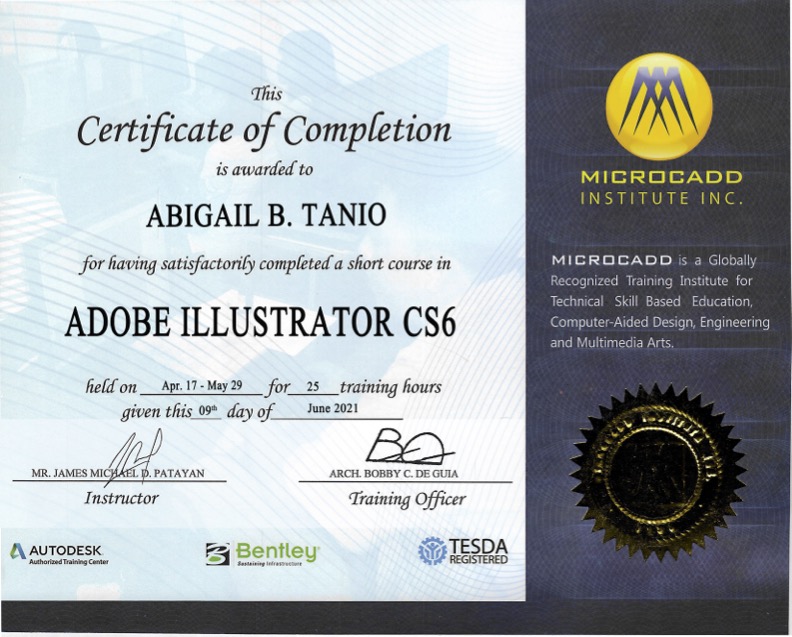 Adobe Illustrator CS6