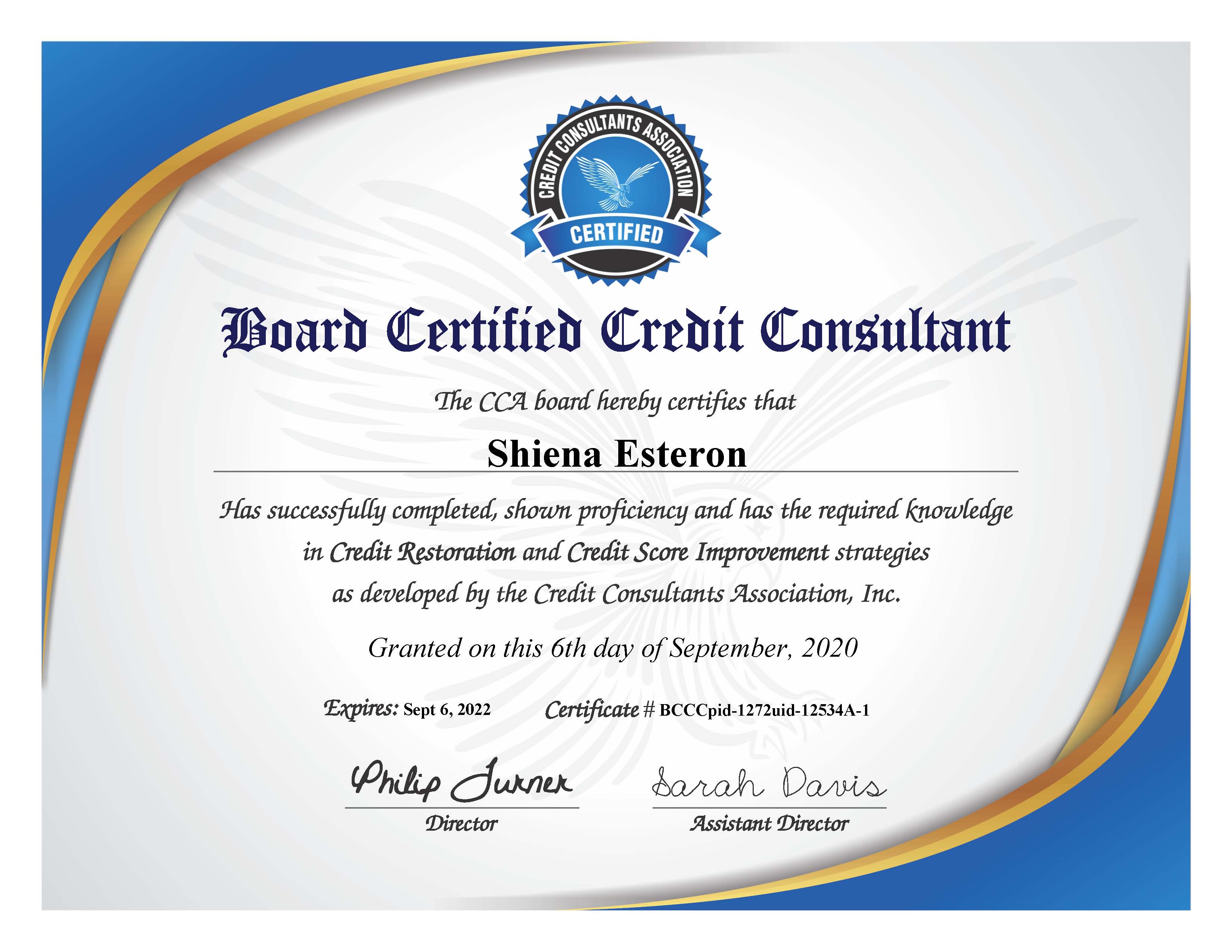 Certified Credit Consultant