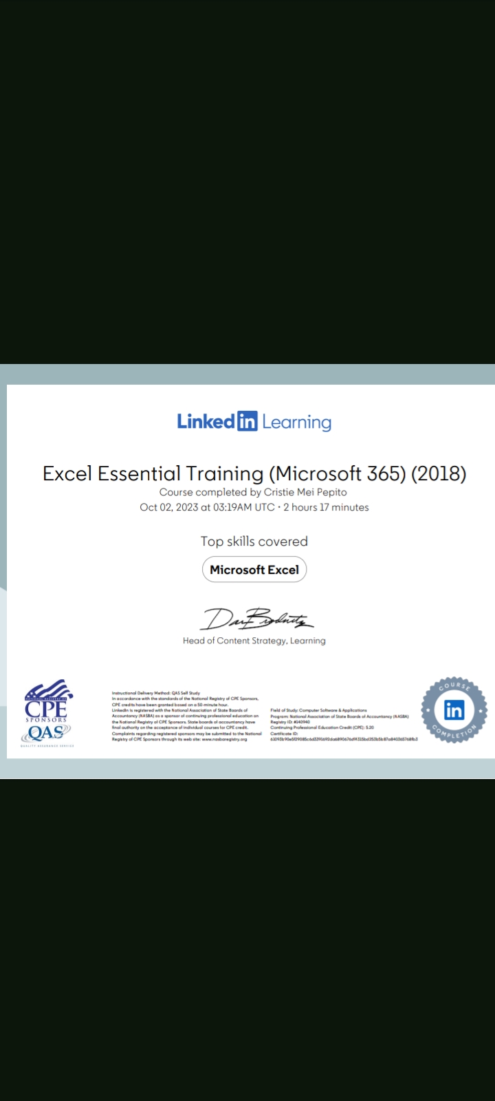 Microsoft 365 Excel Essential  Training