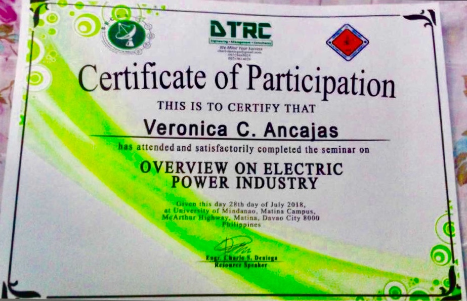 Overview on Electric Power Industry