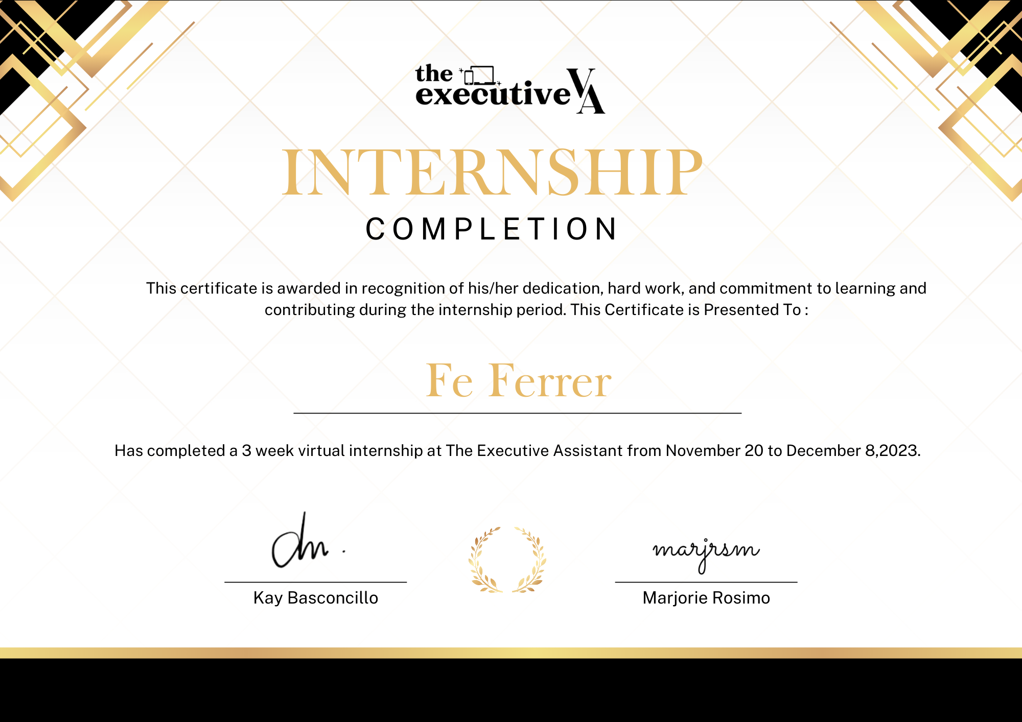 EXECUTIVE VA INTERSHIP