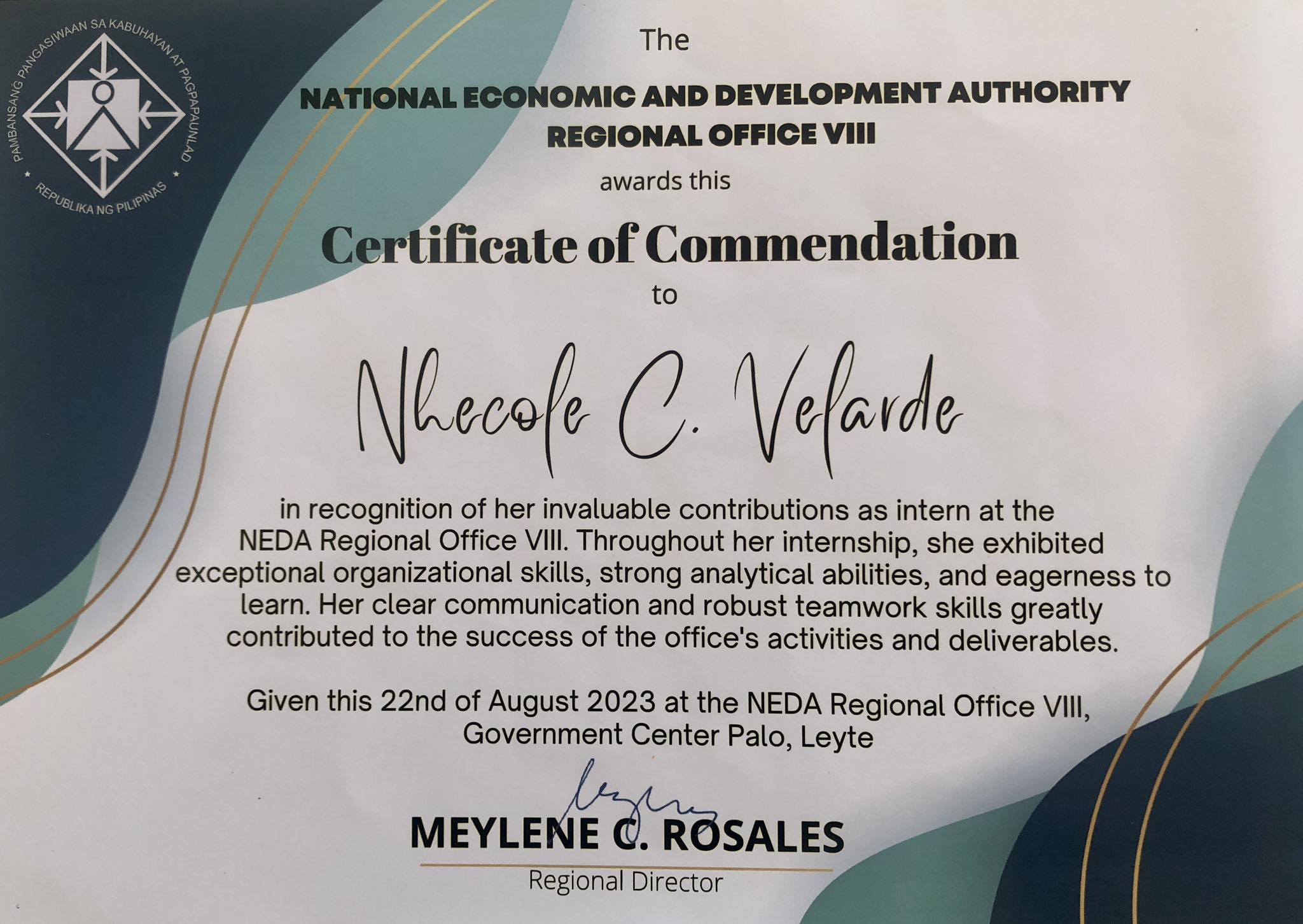 National Economic and Development Authority (NEDA) Internship