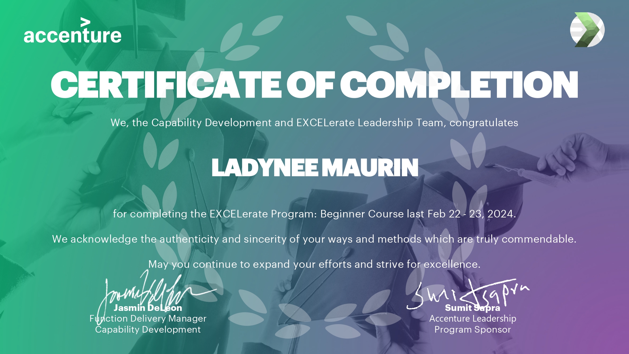 Excelerate training