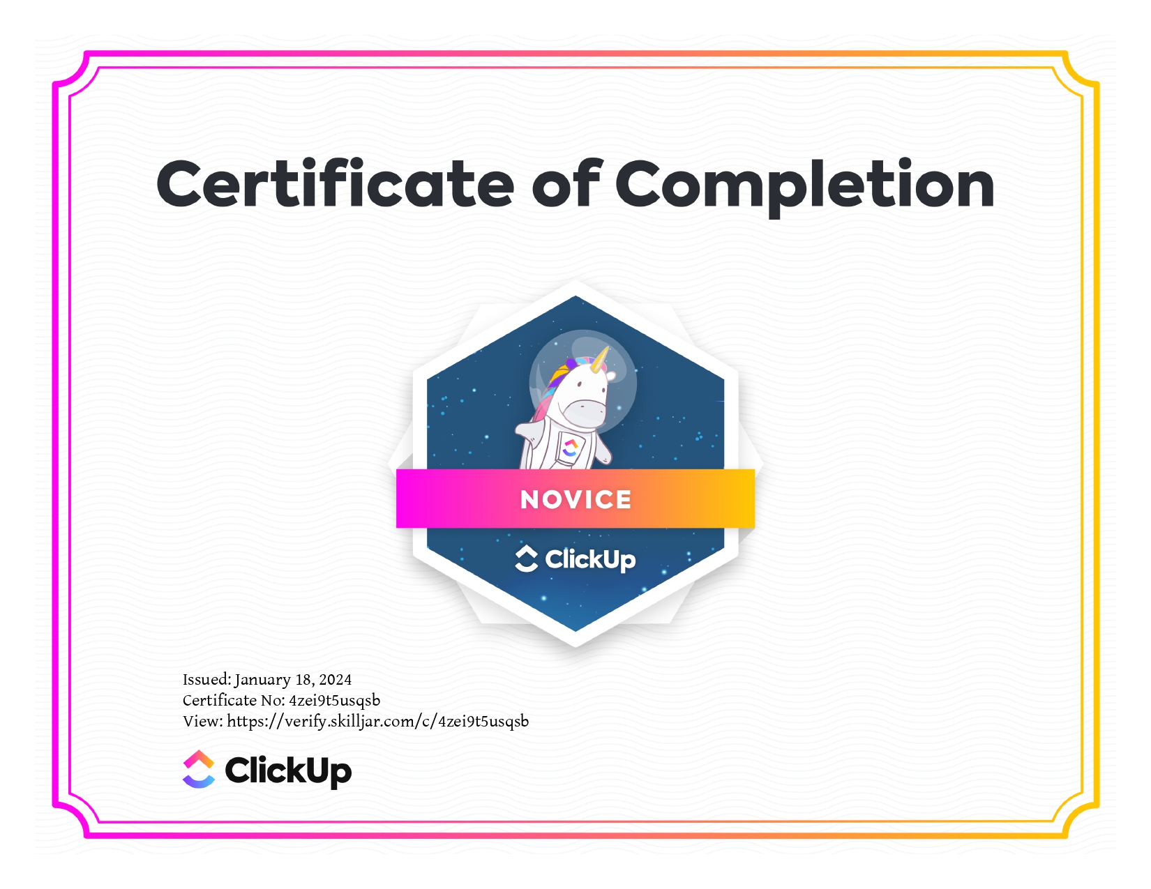 Click Up Novice Certificate