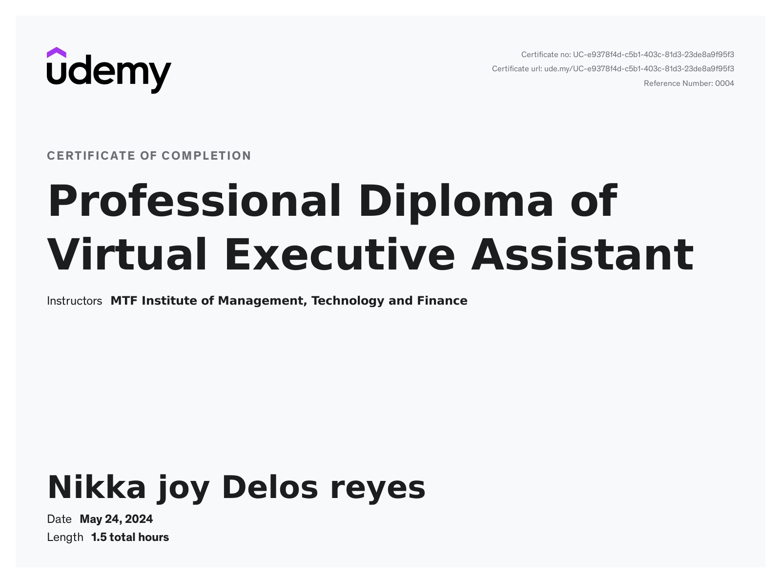 Professional Executive Virtual Assistant