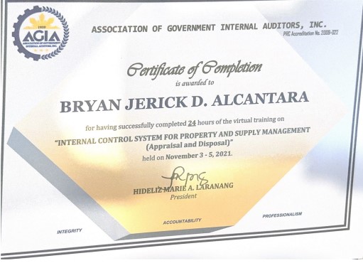 Internal Control System for Property and Supply Management