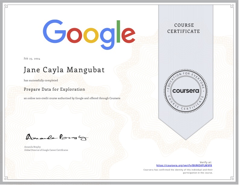 Prepare Data for Exploration - Google