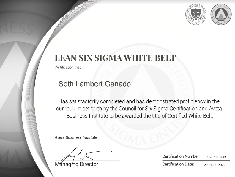 Lean Six Sigma White Belt