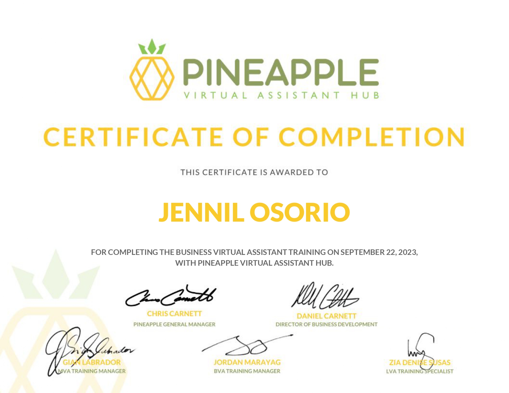 Pineapple VA Training Certificate