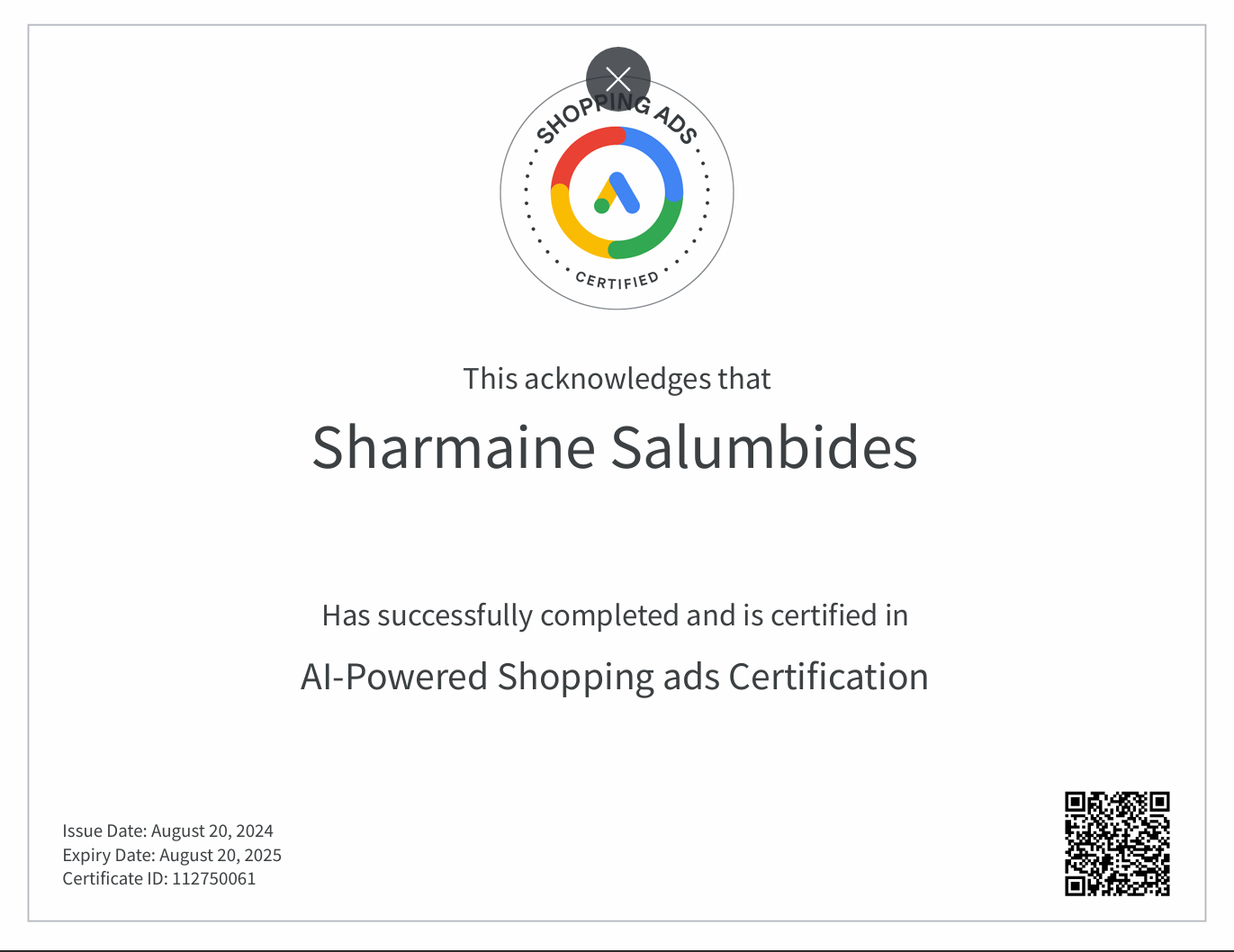 Google Ads Shopping Certification