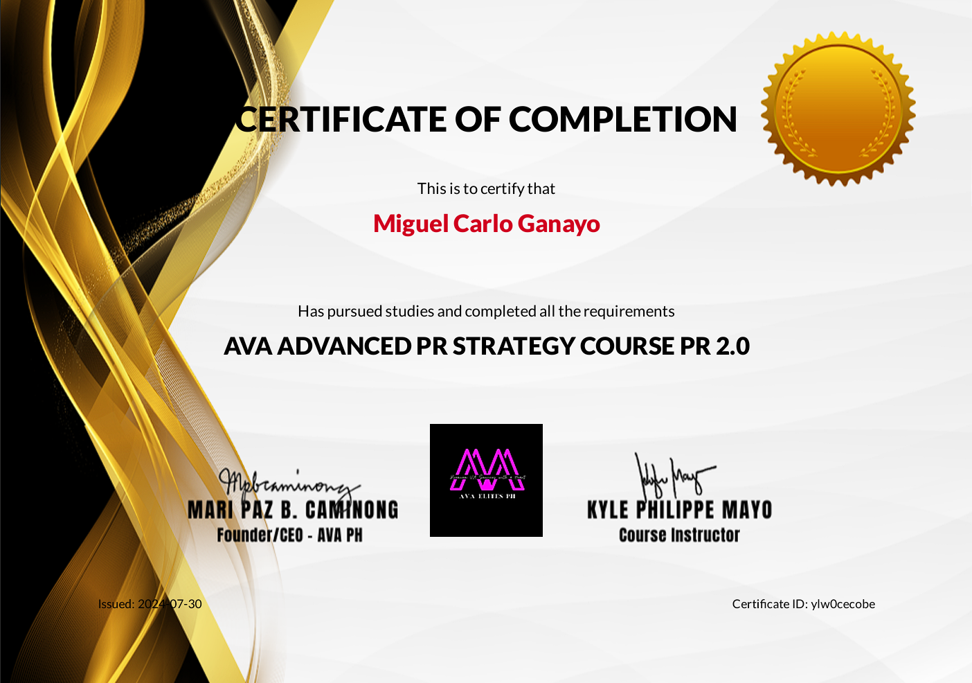 AVA Advanced PR Strategy Course PR 2.0