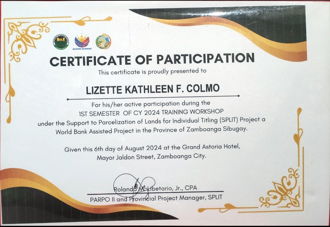 Certificate of Participation DAR
